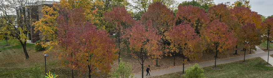 photo of a person walking on campus 