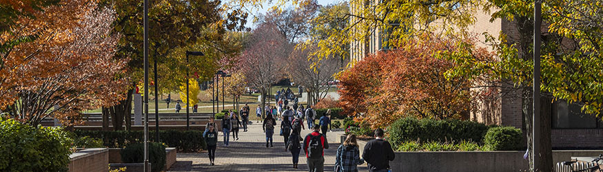 photo of students walking outside on campus in the fall