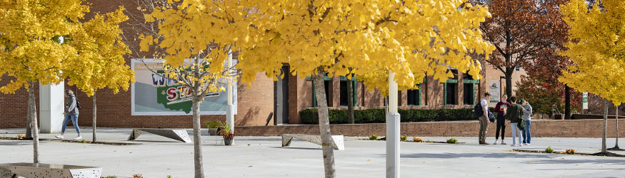 photo of students outside on campus 