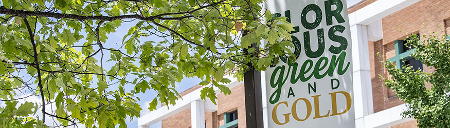 photo of a pole banner with the words glorious green and gold in front of the student union