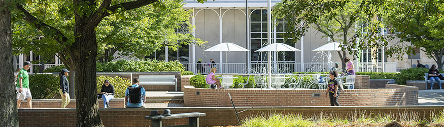 photo of students outside on campus in the spring