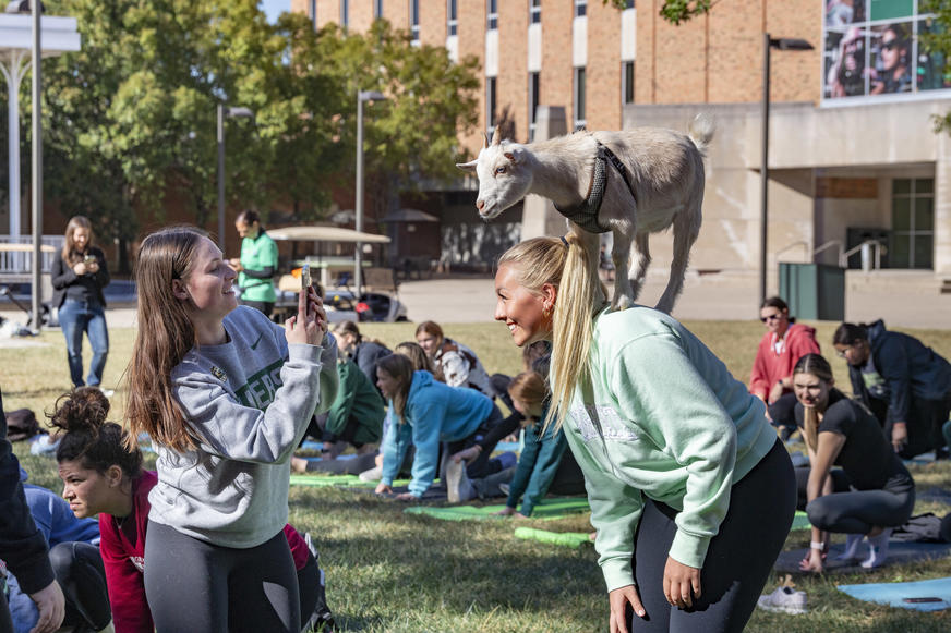 photo of a student taking a photo of a student with a goat at goat yoga during raider resilence week