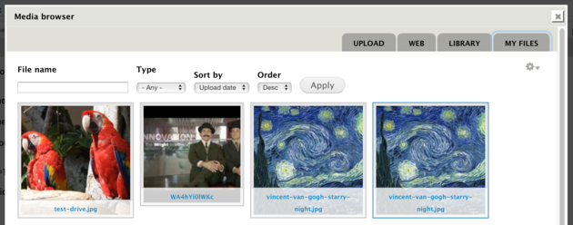 Screenshot of Media Upload Library tab: Filters for file name and type, and thumbnails of assets