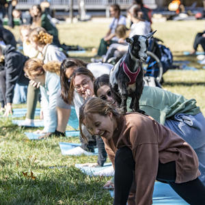 photo of goat yoga during raider resilence week